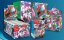 Pokémon TCG: Scarlet & Violet (SV04) Paradox Rift Booster Box (36 boosterů)