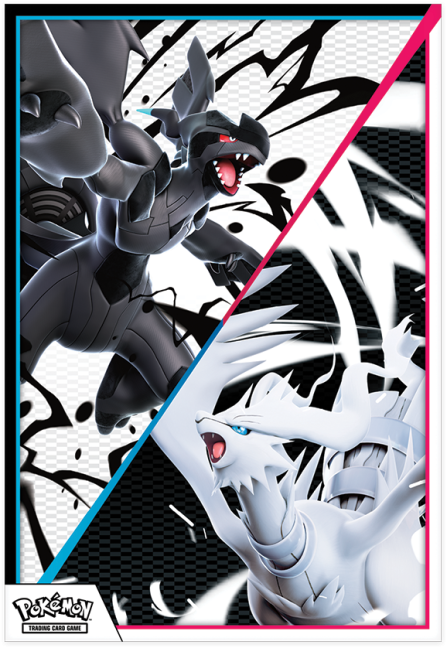 Plakát Pokémon Unova Black Bolt and White Flare (SV10.5)